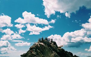 カマスの群れが接岸